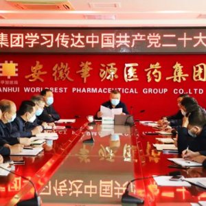 安徽華源醫(yī)藥集團學(xué)習(xí)傳達黨的二十大報告精神
