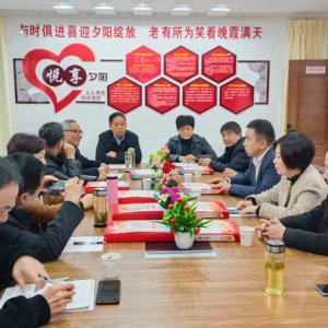 鹿城鎮(zhèn)老年協(xié)會學(xué)習(xí)宣傳貫徹黨的二十大精神，結(jié)合實際做好自身工作討論會召開